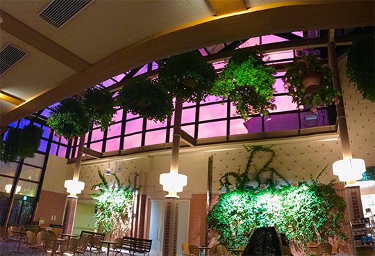 倉敷中央病院の噴水カフェ:紫色の幻想的な夕景2020/10/8(木)撮影