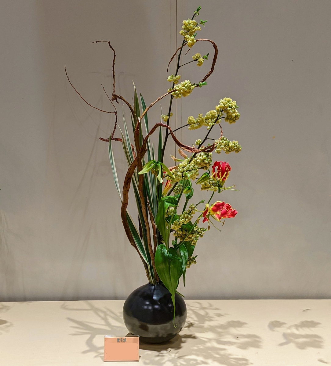 しゃれ木、アオモジ、グロリオサ、桔梗蘭