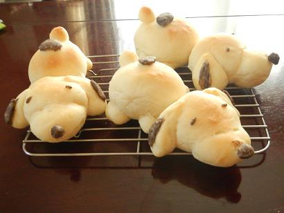 f:id:taroshio:20160104075720j:plain