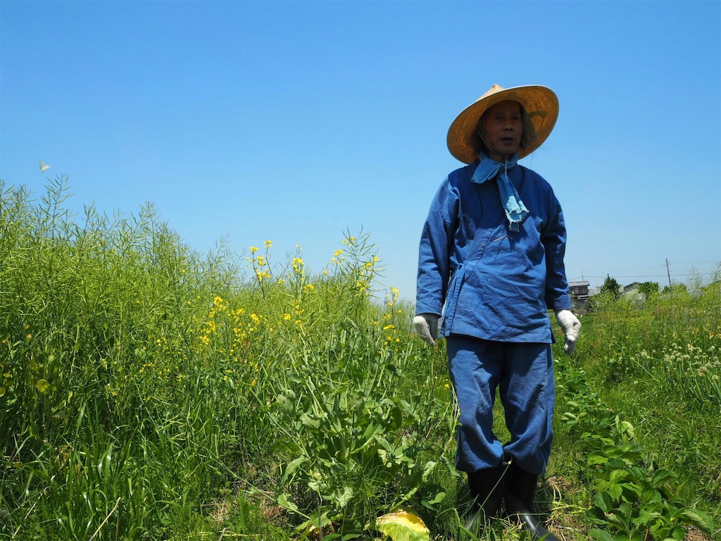 f:id:taroshio:20160616232817j:image