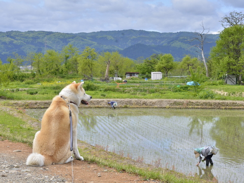 f:id:taroshio:20160703220804j:plain