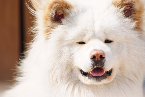 f:id:taroshio:20160823003503j:plain