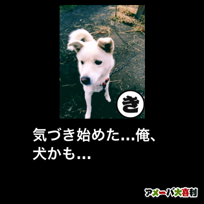 f:id:taroshio:20160824234442p:plain