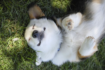 f:id:taroshio:20161121231633j:plain