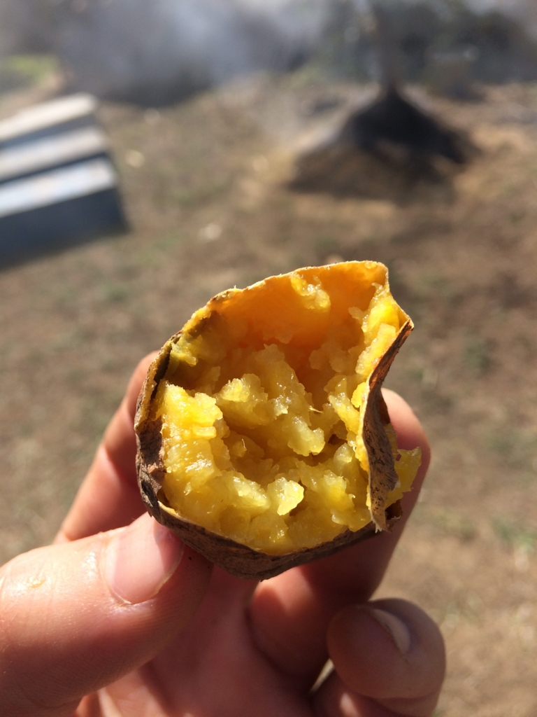 f:id:taroshio:20170312011936j:plain