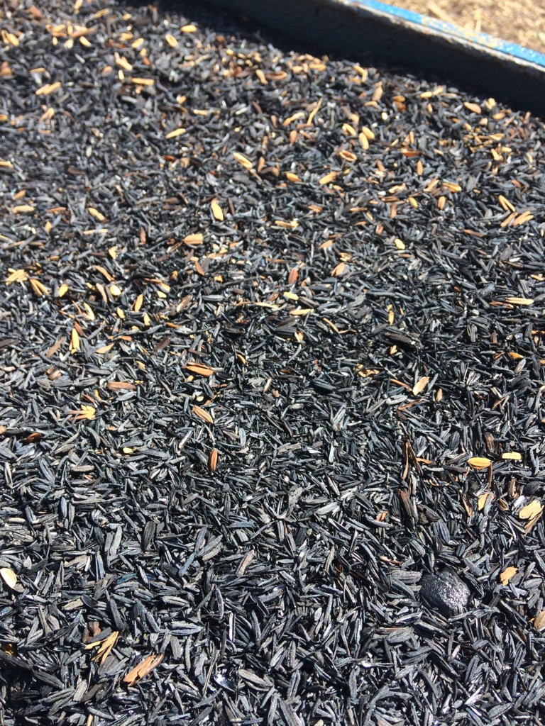 f:id:taroshio:20170312011951j:plain