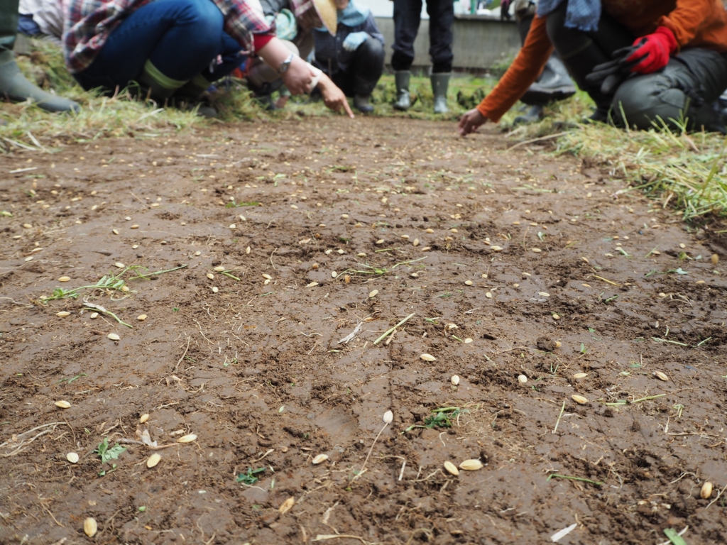 f:id:taroshio:20170312023223j:plain