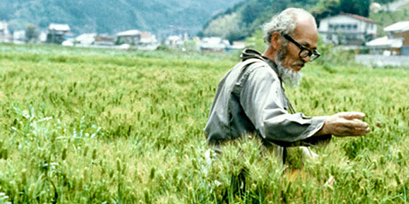 f:id:taroshio:20180219234802j:plain