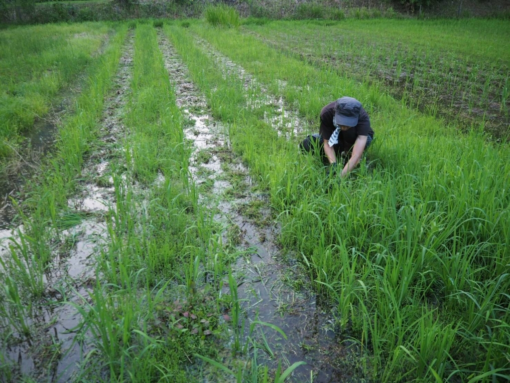 f:id:taroshio:20180717002303j:plain f:id:taroshio:20180717002303j:plain