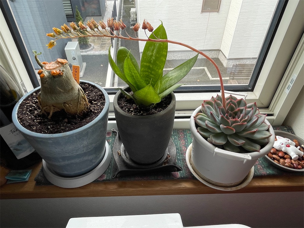 f:id:tarosukejiroblog:20240424084118j:image f:id:tarosukejiroblog:20240424084118j:image