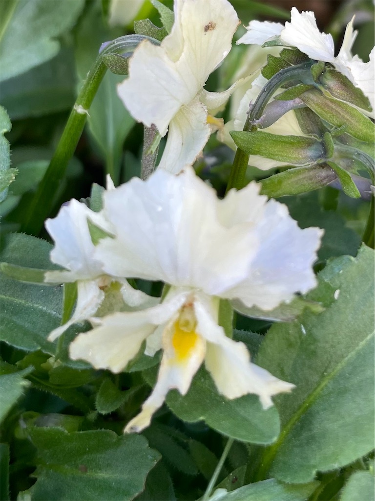 f:id:tarosukejiroblog:20240531080849j:image