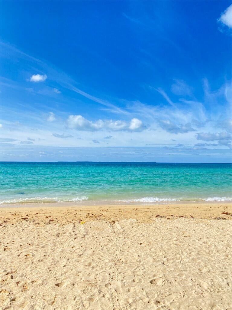 f:id:tarotaro1995:20230316214714j:image