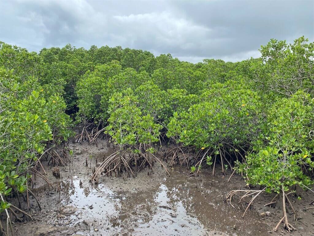 f:id:tarotaro1995:20230323205627j:image