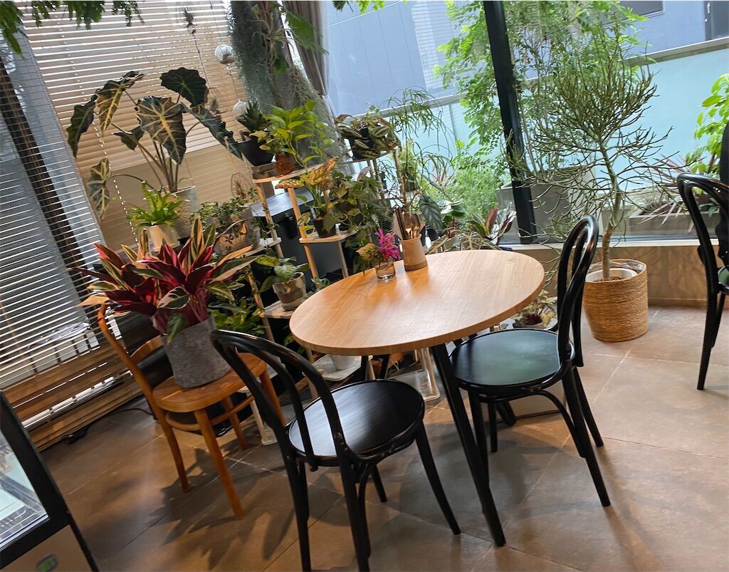 f:id:tarotaro1995:20231021084410j:image