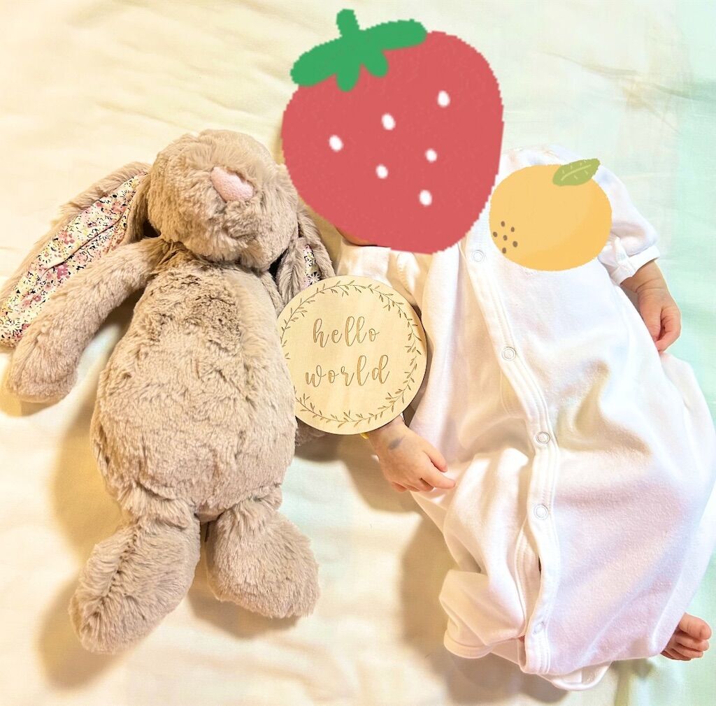 新作 新品 ジェリーキャット バニー うさぎ いちご イチゴ ぬいぐるみ