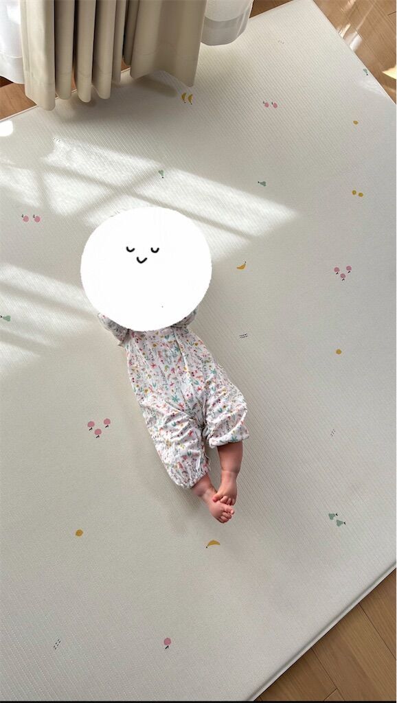 f:id:tarotaro1995:20241231144036j:image