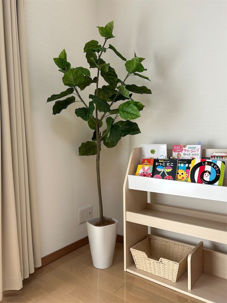 f:id:tarotaro1995:20250111114247j:image