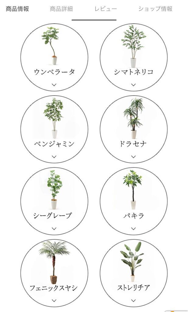 f:id:tarotaro1995:20250111201433j:image