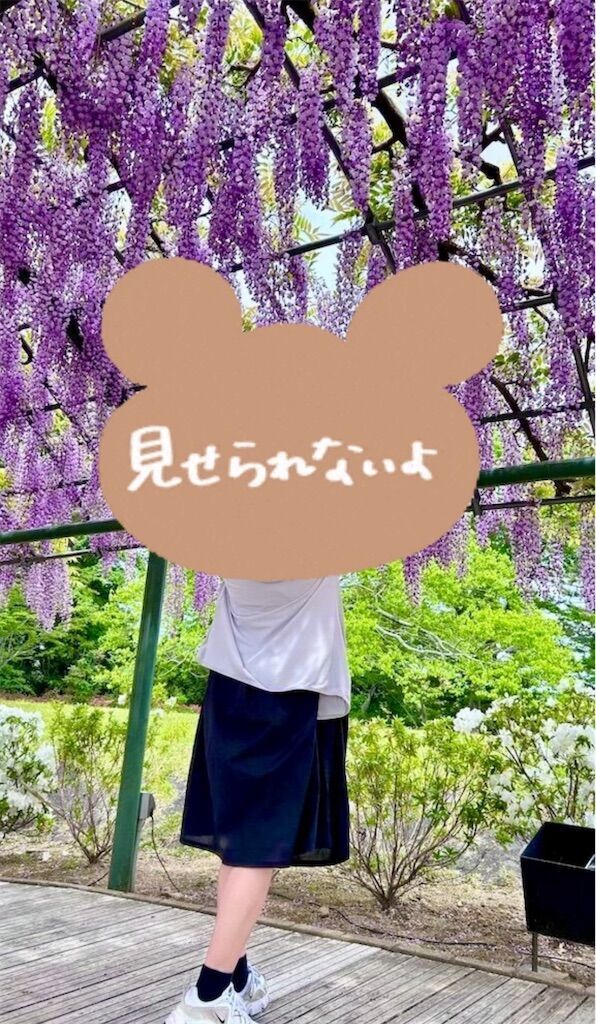 f:id:tarotaro1995:20250628113849j:image