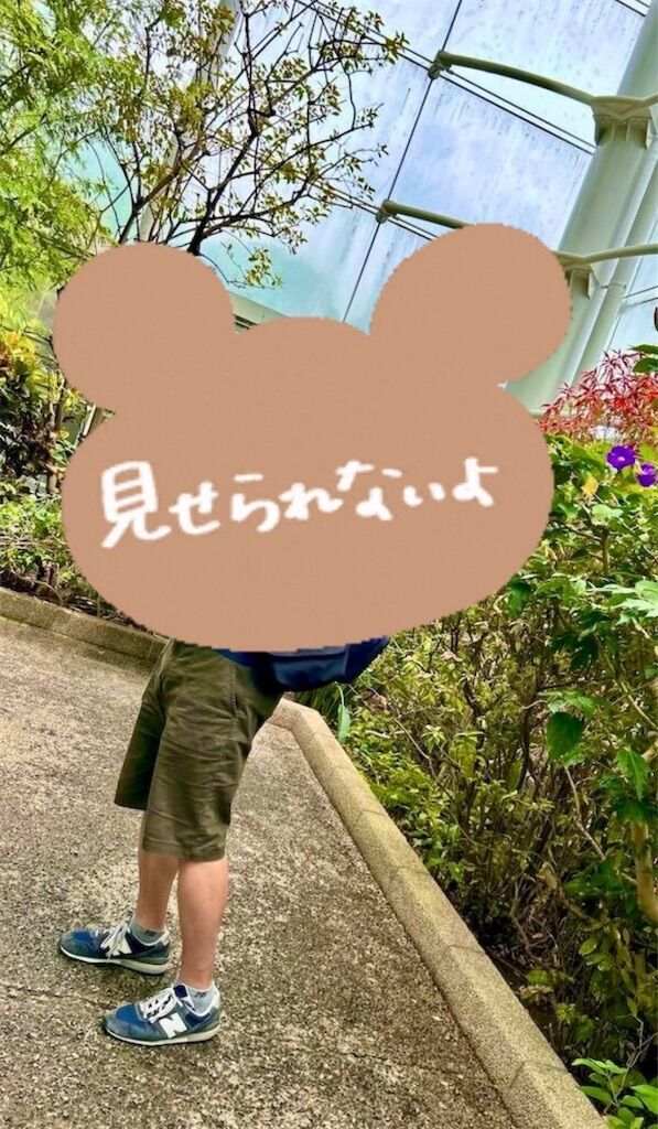 f:id:tarotaro1995:20250628114003j:image