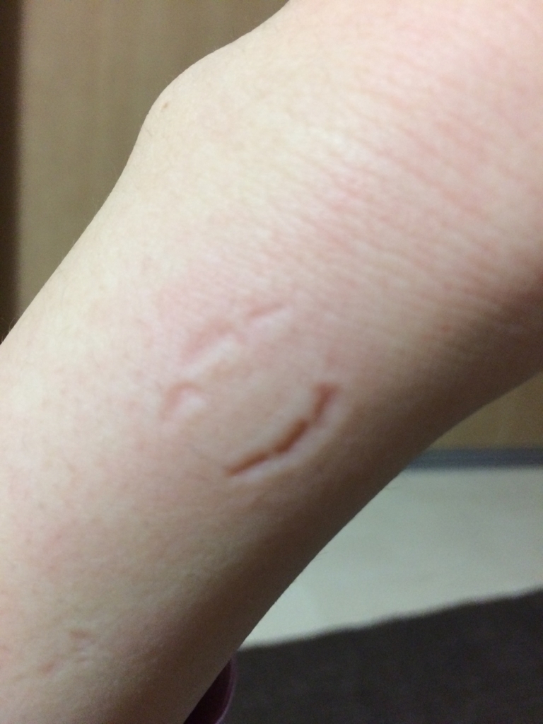 f:id:tarotaroko:20180402154202j:plain