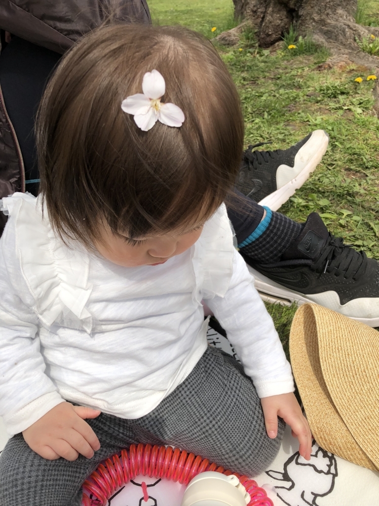 f:id:tarotaroko:20180430165828j:plain f:id:tarotaroko:20180430165828j:plain