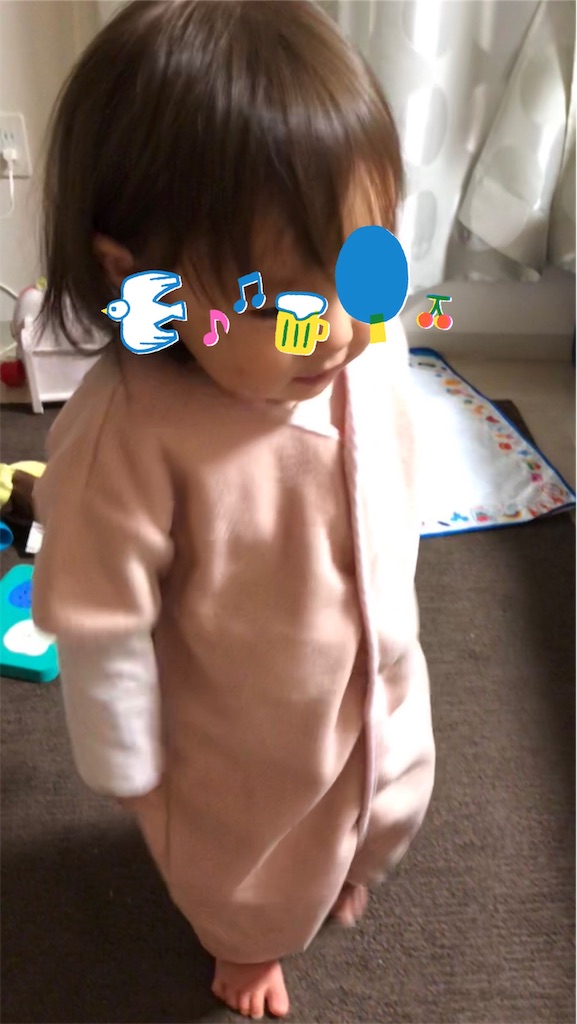 f:id:tarotaroko:20190115232557j:image