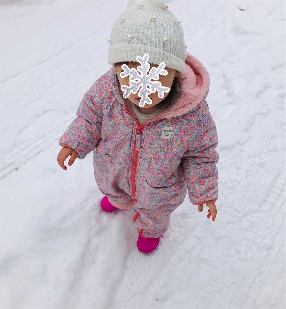 f:id:tarotaroko:20190207235249j:image