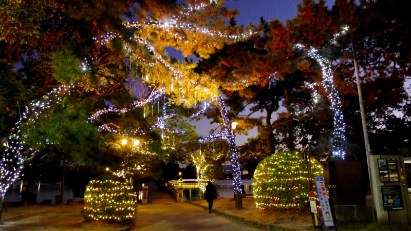 f:id:tarotsakurako:20161206193716j:plain