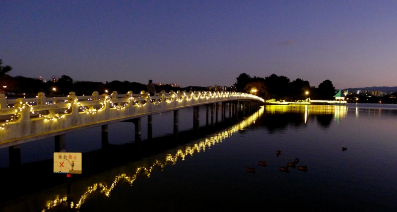 f:id:tarotsakurako:20161206193718j:plain