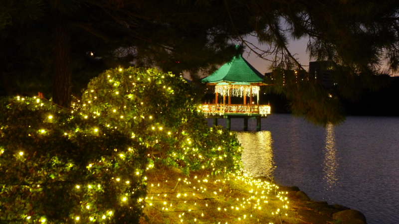 f:id:tarotsakurako:20161206193719j:plain