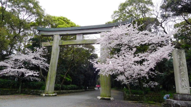 f:id:tarotsakurako:20170407202432j:plain f:id:tarotsakurako:20170407202432j:plain