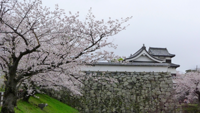 f:id:tarotsakurako:20170407202440j:plain f:id:tarotsakurako:20170407202440j:plain