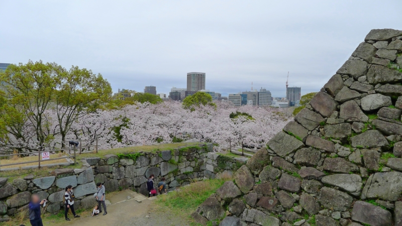 f:id:tarotsakurako:20170407202448j:plain f:id:tarotsakurako:20170407202448j:plain
