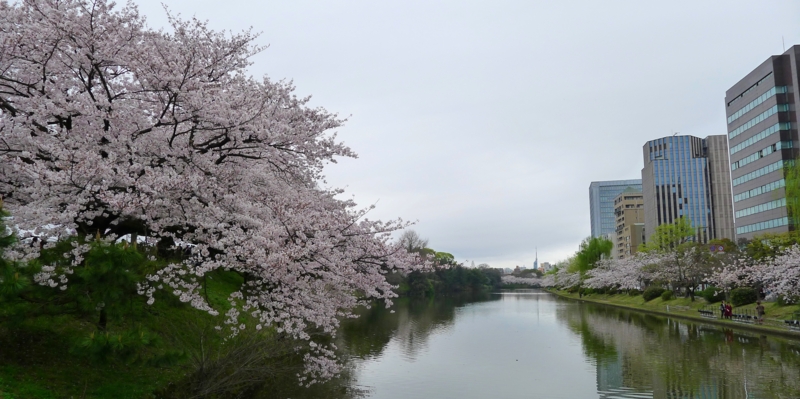 f:id:tarotsakurako:20170407202450j:plain f:id:tarotsakurako:20170407202450j:plain