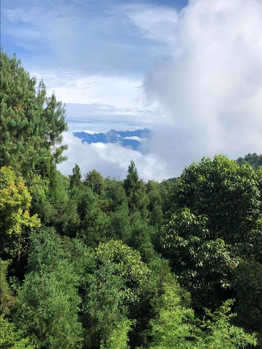 f:id:taroyume:20190806185604j:plain