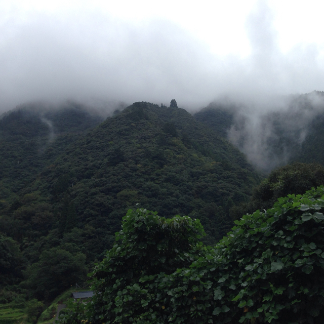 f:id:taru414:20150102155326j:image:w360 f:id:taru414:20150102155326j:image:w360