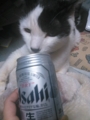 ビール部