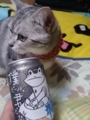 ビール部