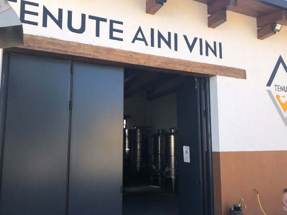 tenute Aini Vini,テヌテ・アイーニ・ヴィーニワイナリー
