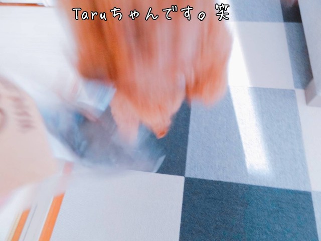 f:id:taruto-rasuku_maaya:20190511235312j:image