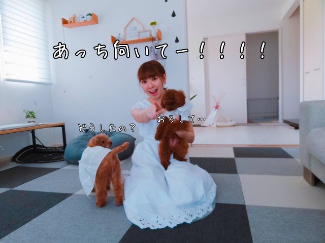 f:id:taruto-rasuku_maaya:20190601214337j:image