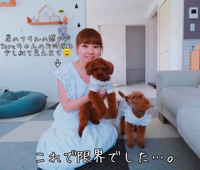 f:id:taruto-rasuku_maaya:20190601215440j:image