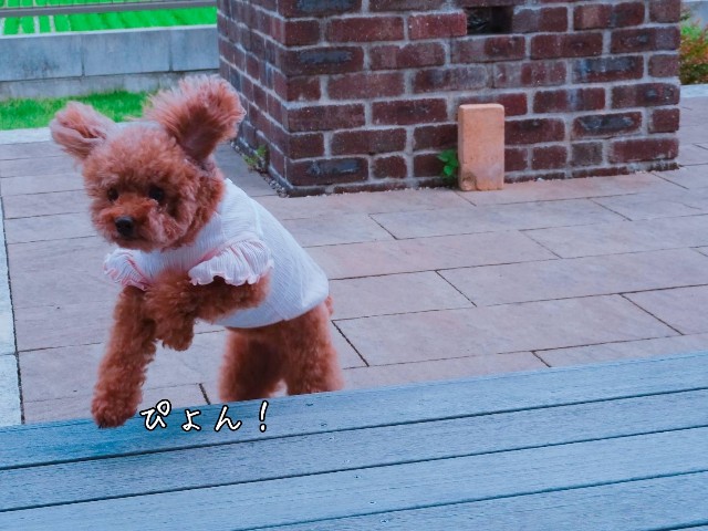 f:id:taruto-rasuku_maaya:20190613215019j:image