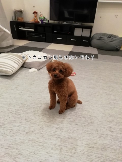 f:id:taruto-rasuku_maaya:20190904204316j:image
