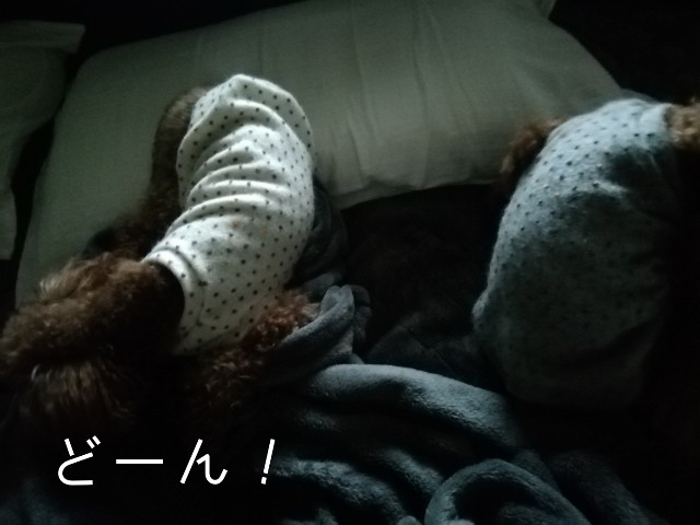 f:id:taruto-rasuku_maaya:20191008193037j:image