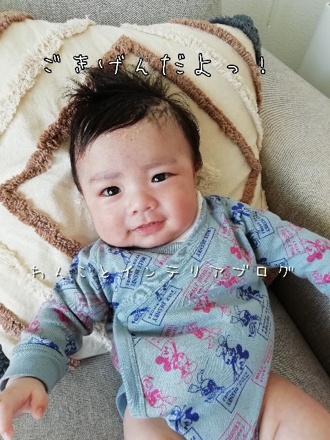 f:id:taruto-rasuku_maaya:20200430211929j:image f:id:taruto-rasuku_maaya:20200430211929j:image