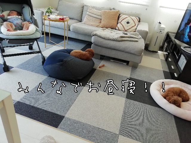 f:id:taruto-rasuku_maaya:20200430214151j:image f:id:taruto-rasuku_maaya:20200430214151j:image