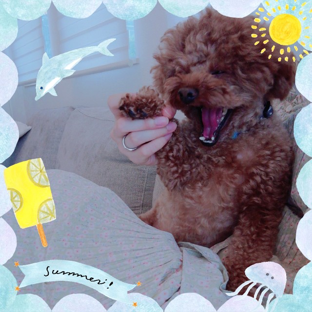 f:id:taruto-rasuku_maaya:20210520233121j:image f:id:taruto-rasuku_maaya:20210520233121j:image