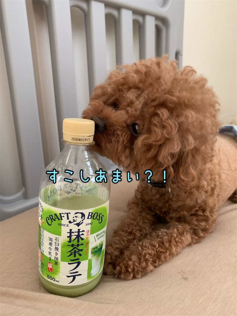 f:id:taruto-rasuku_maaya:20210826213627j:image